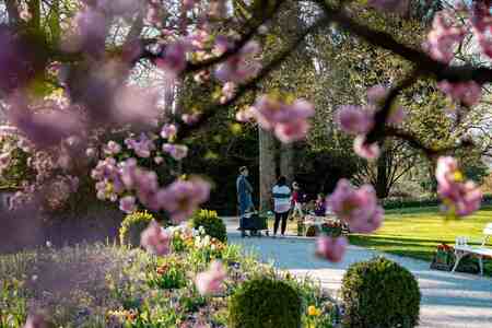 Spomladanska razstava cvetja in tulipanov(10)